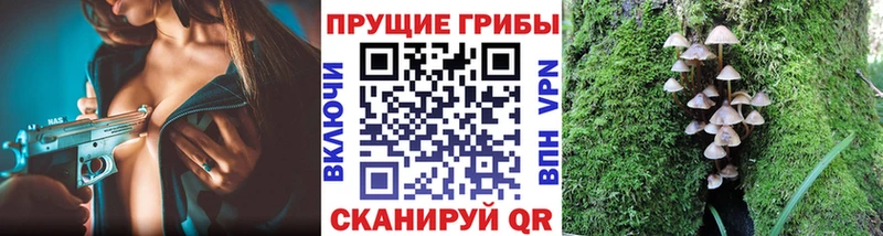 Псилоцибиновые грибы Psilocybine cubensis  mega ONION  Онега  цены  